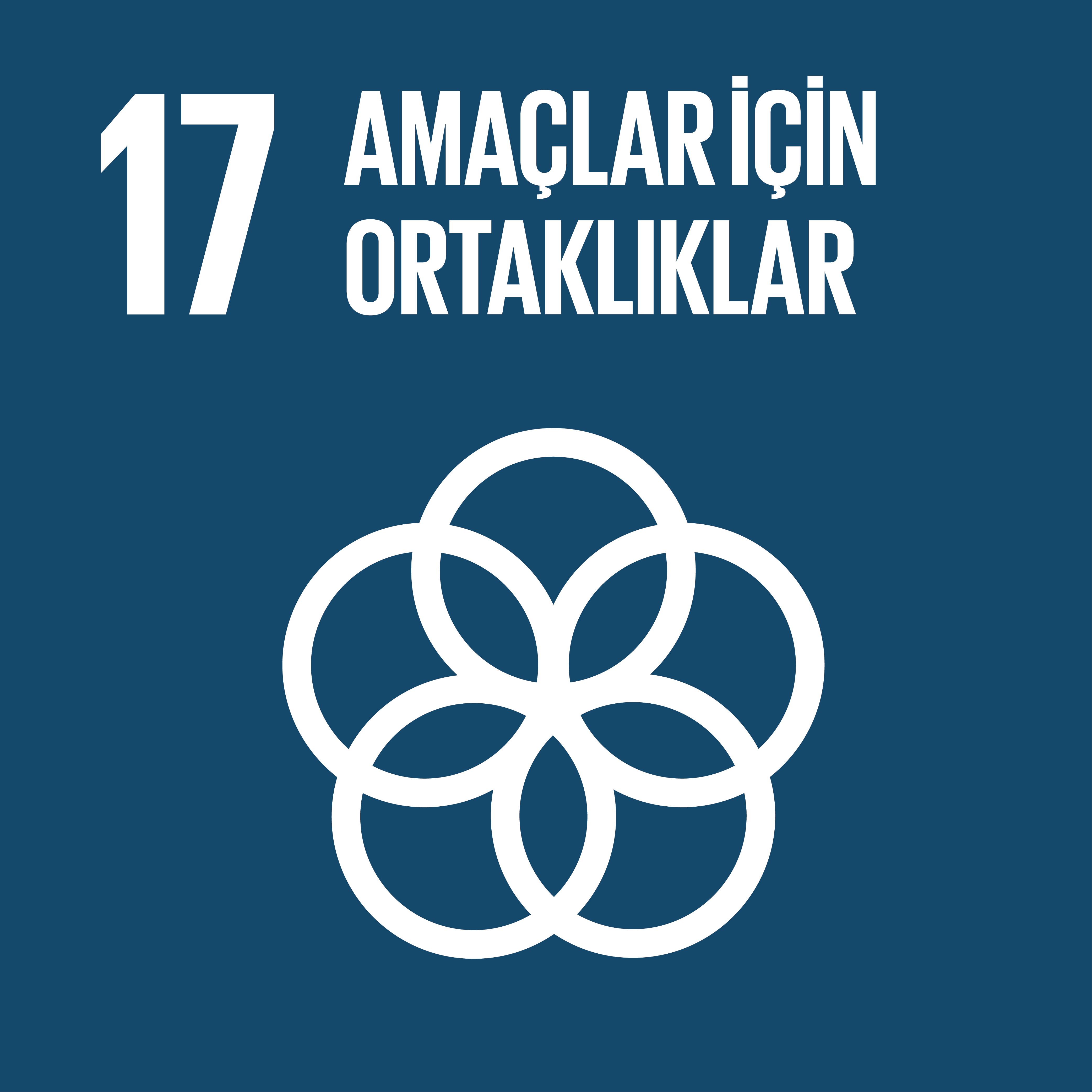 SDG17